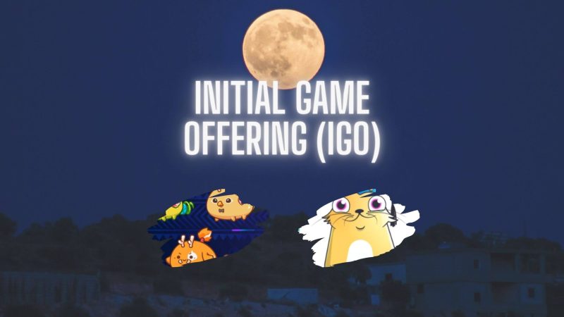 Initial Game Offering 